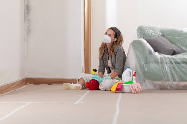 Reliable Mold Remediation contractor in Springfield, VA by Cheap Mold Removal